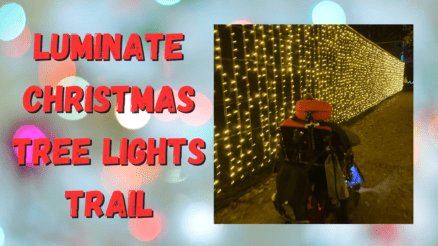 Luminate Christmas light trail at Sandringham