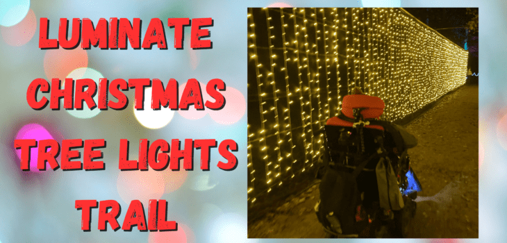Luminate Christmas light trail at Sandringham
